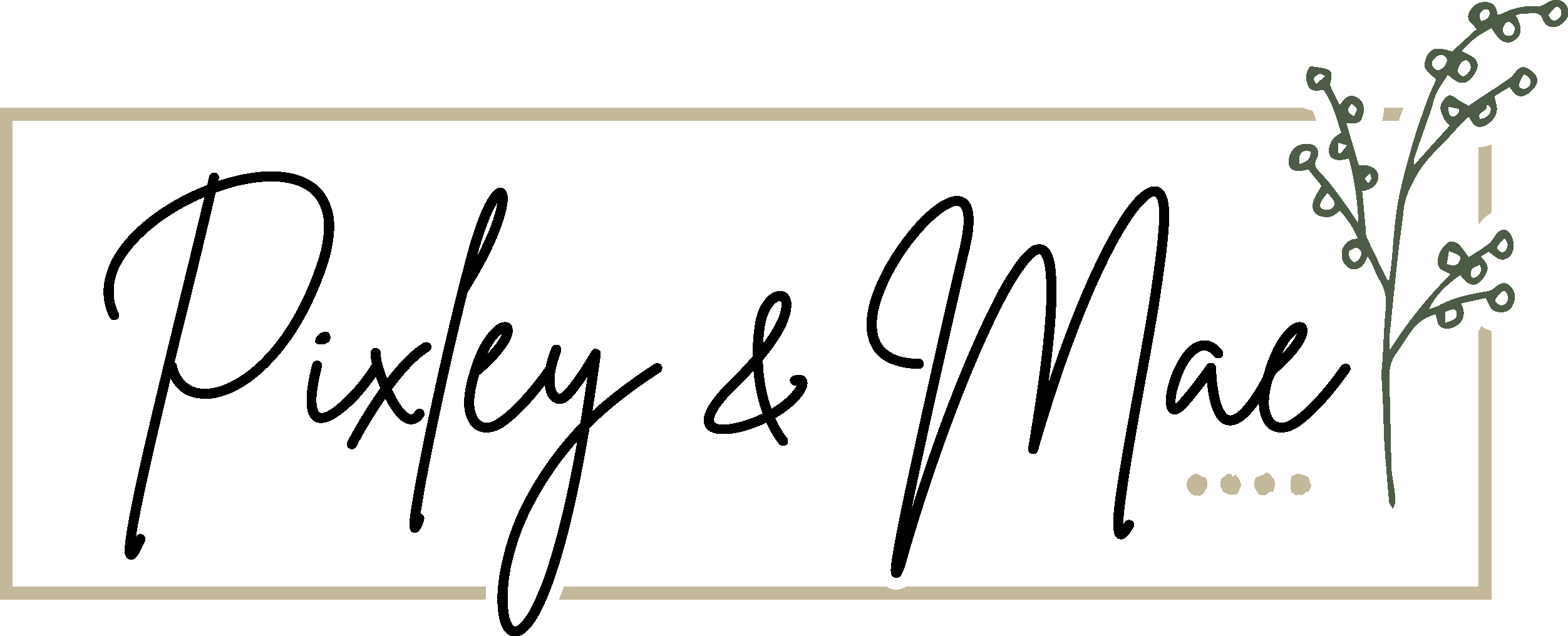 Pixleyandmae
